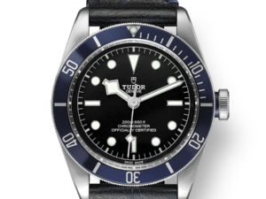 Tudor Black Bay 41mm M79230B-0007