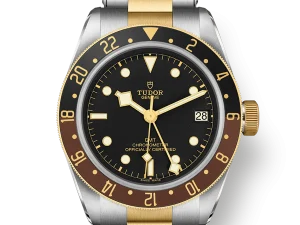 Tudor Black Bay GMT S&G 41mm Ref. M79833MN-0001 Chronologie .png