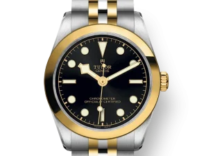 Tudor Black Bay S&G 31mm Ref. M79603-0001 Chronologie .png