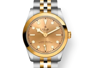 Tudor Black Bay S&G 31mm Ref. M79603-0005 Chronologie .png