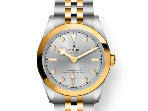 Tudor Black Bay S&G 31mm Ref. M79603-0007 Chronologie .png