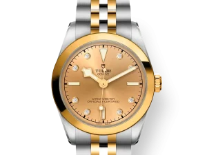 Tudor Black Bay S&G 31mm Ref. M79603-0008 Chronologie