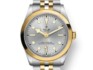 Tudor Black Bay S&G 36mm Ref. M79643-0002.png