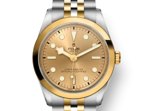 Tudor Black Bay S&G 36mm Ref. M79643-0005 Chronologie