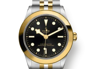 Tudor Black Bay S&G 39mm Ref. M79663-0001 Chronologie