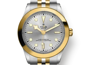 Tudor Black Bay S&G 39mm Ref. M79663-0002 Chronologie .png