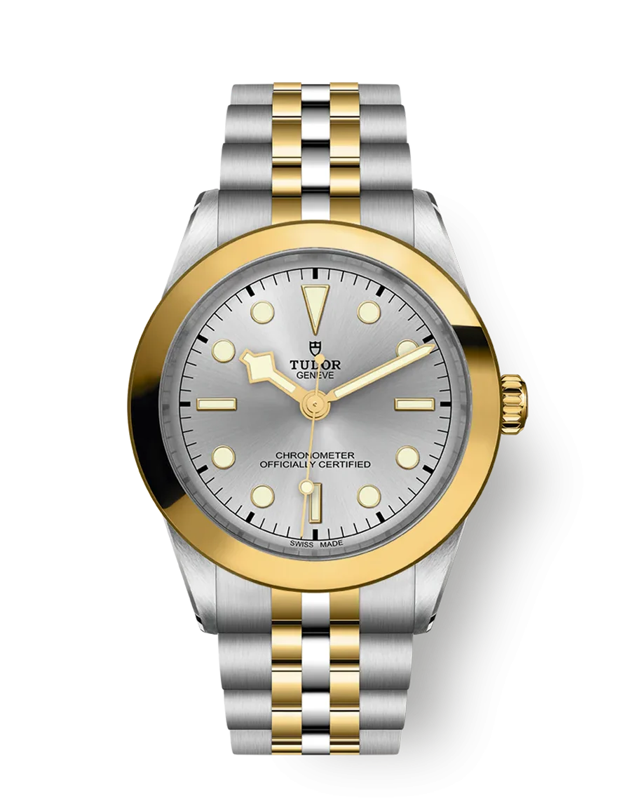 Tudor Black Bay S&G 39mm Ref. M79663-0002 Chronologie .png Tudor Black Bay S&G 39mm Ref. M79663-0002 Chronologie .png