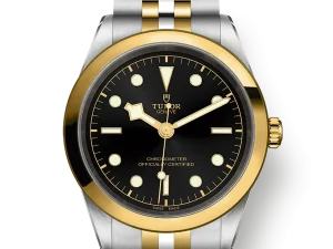 Tudor Black Bay S&G 41mm Ref. M79683-0001 Chronologie .png