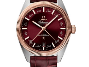 Omega Globemaster Annual Calendar 41mm Ref. 130.23.41.22.11.001 Chronologie